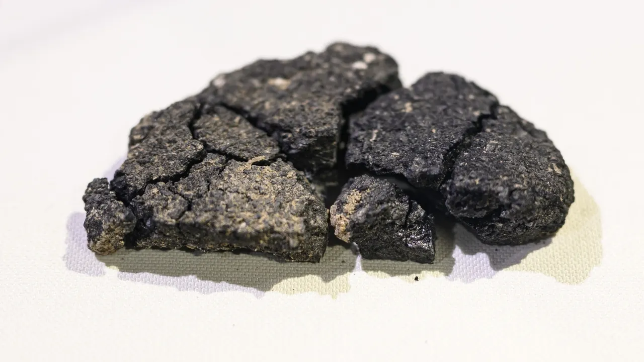 最古のパンから紐解く人類パン好き説